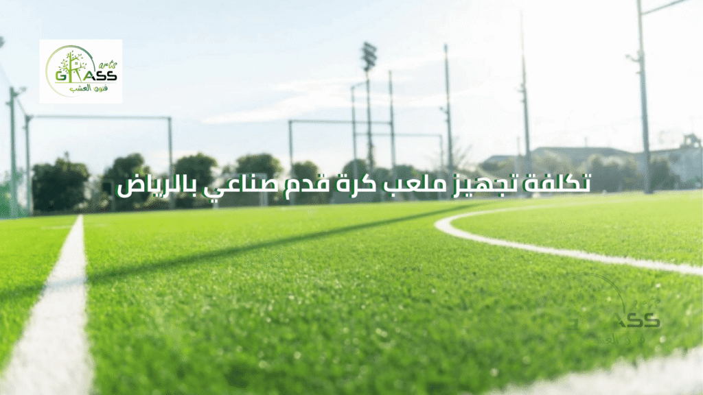 تكلفة تجهيز ملعب كرة قدم صناعي بالرياض